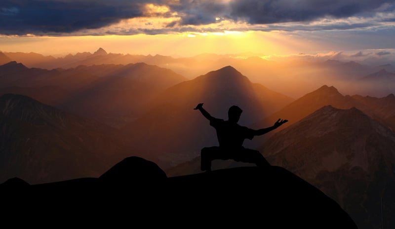 Martial Arts Inspired Movement